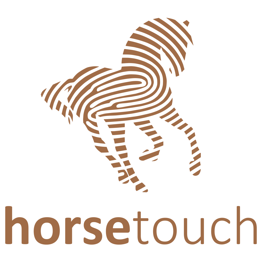 logo-horse-touch-patrat